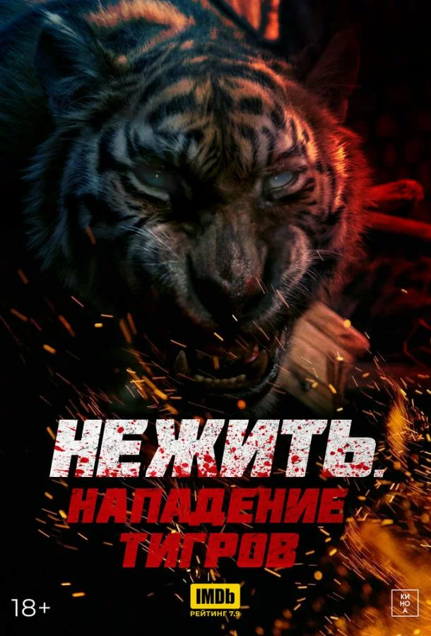 постер