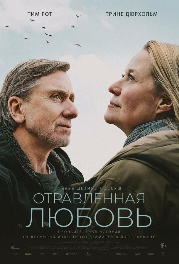 постер