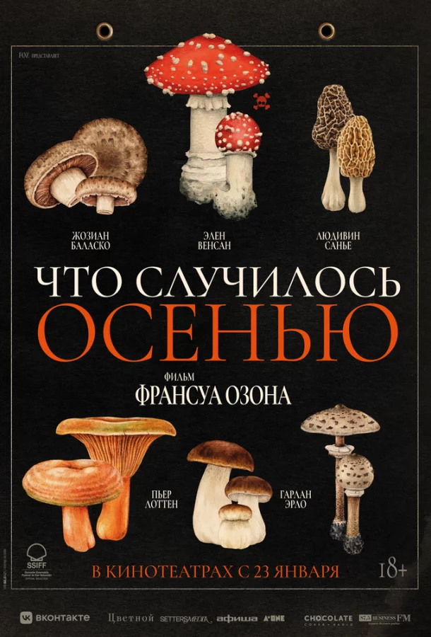 постер