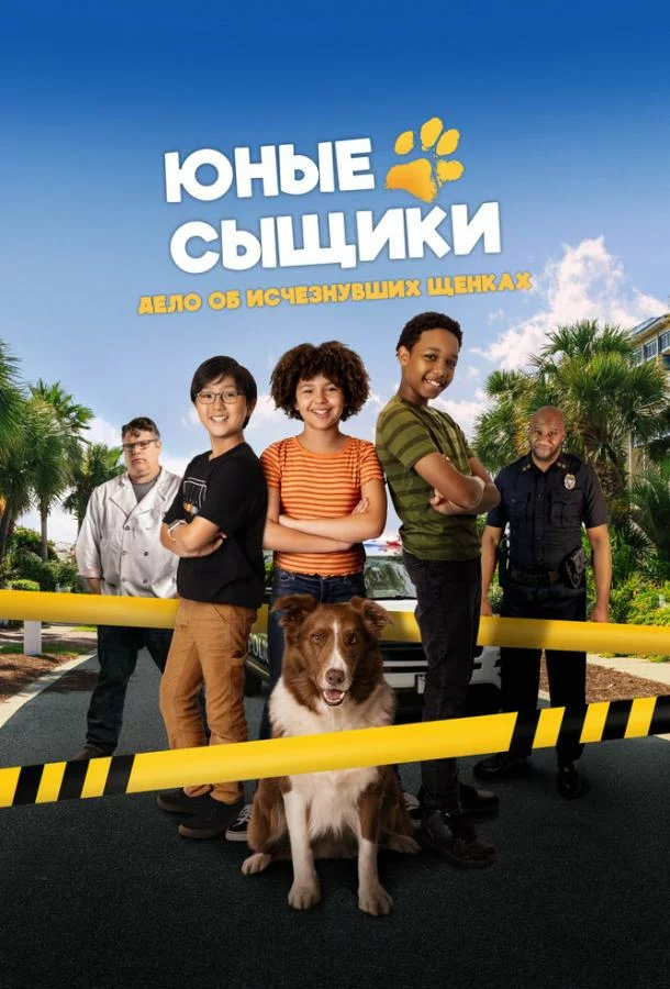 постер
