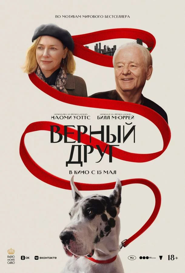 постер