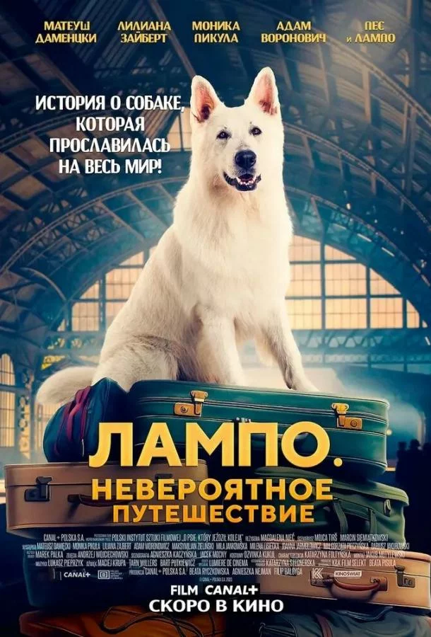 постер