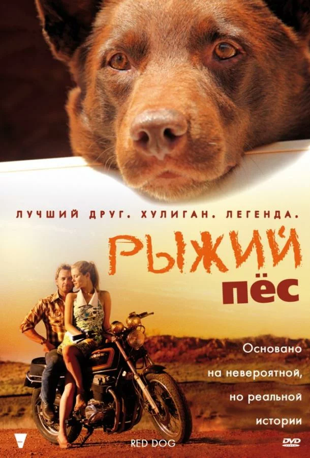 постер