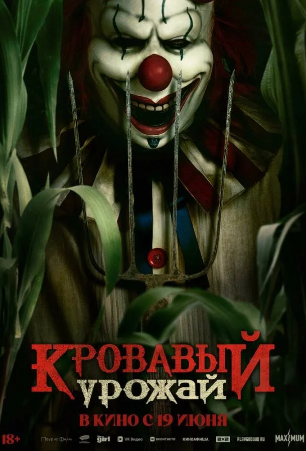 постер