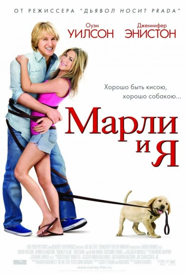 постер
